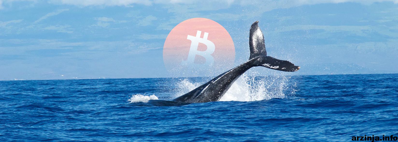 بیت کوین cash نهنگ