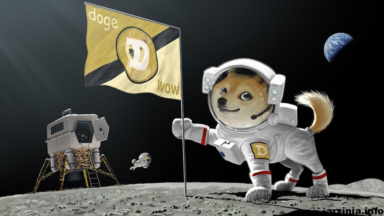 دوج کوین قیمت skyrockets کریپتو fueled elon tweets and redditors