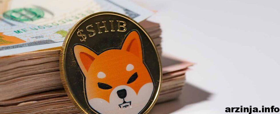 یک نهنگ شیبا با خرید 6 تریلیون واحدی خود طوفان به پا کرد