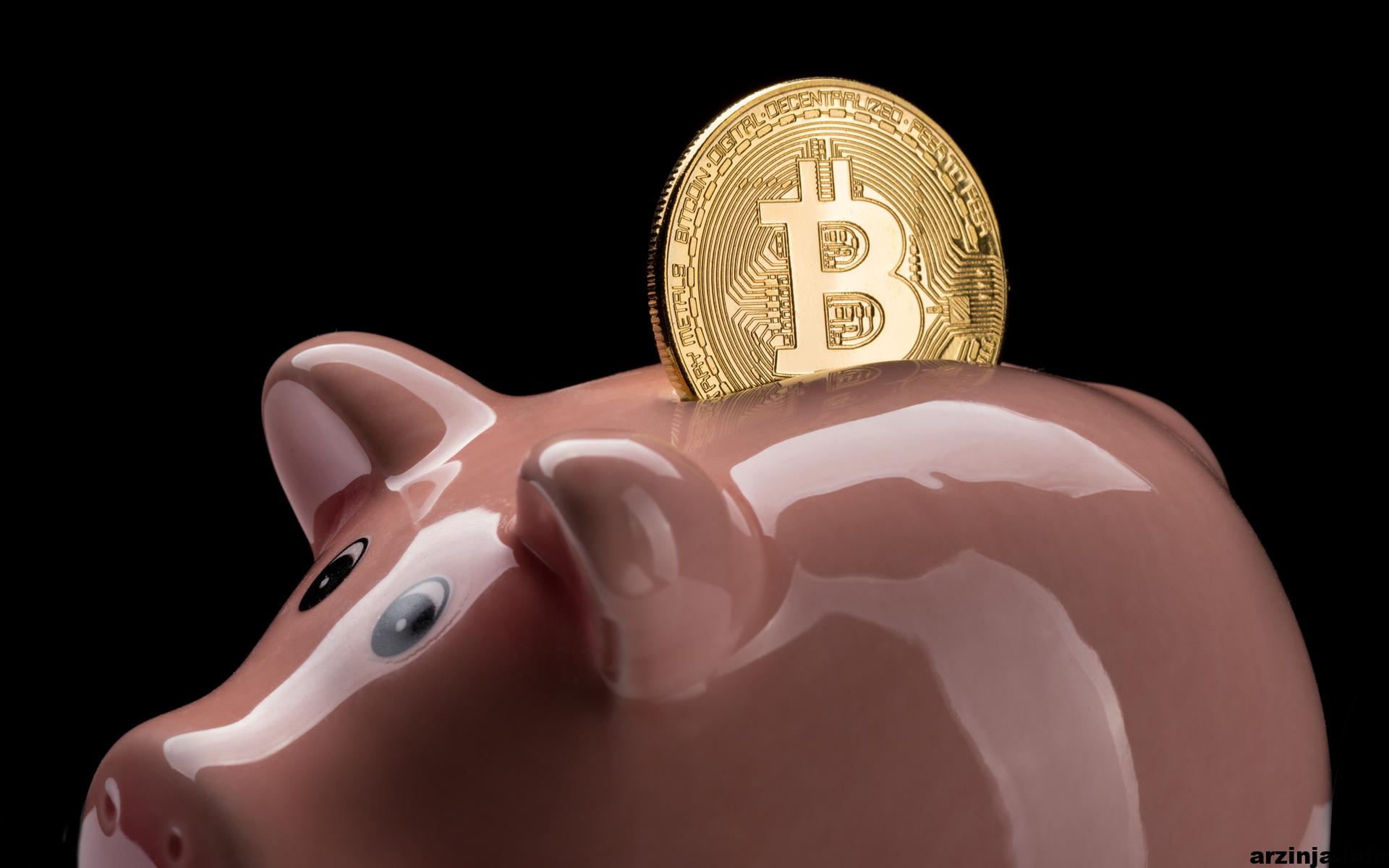 بیت کوینرها سواد مالی ندارند