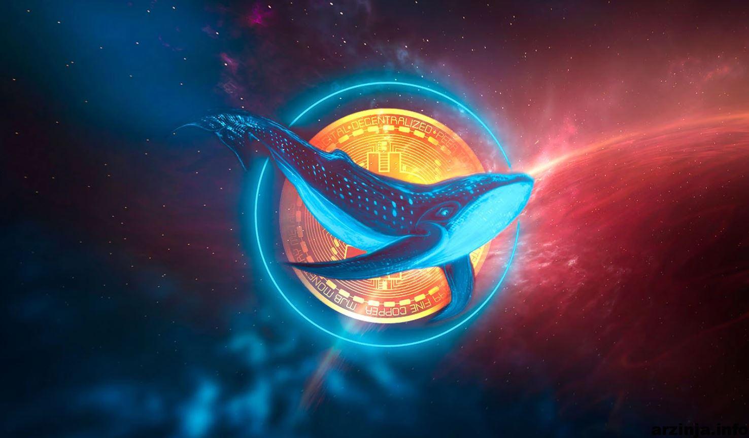 کاهش چشمگیر میلیونرهای بیت کوین