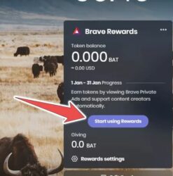 Brave Rewards