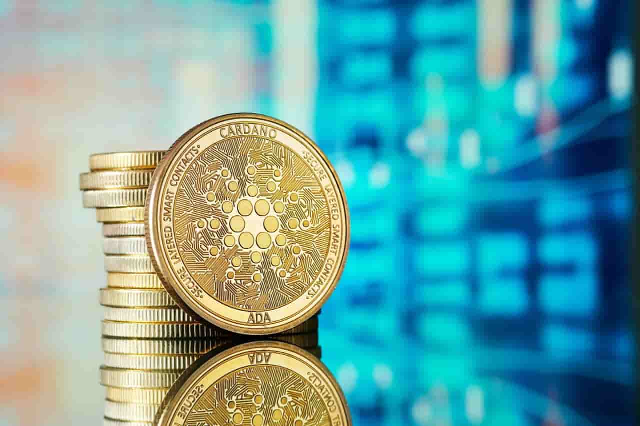 کاردانو رتبه اول در میزان فعالیت توسعه دهندگان را کسب کرد