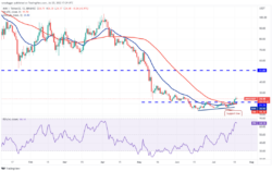 نمودار روزانه AVAX/USDT