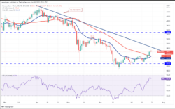 نمودار روزانه BNB/USDT