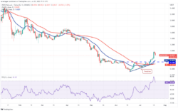 نمودار روزانه MATIC/USDT