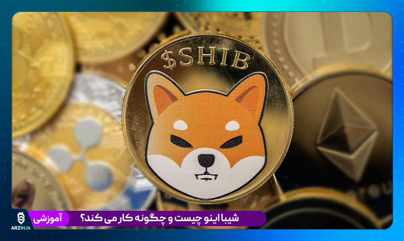 شیبا چیست