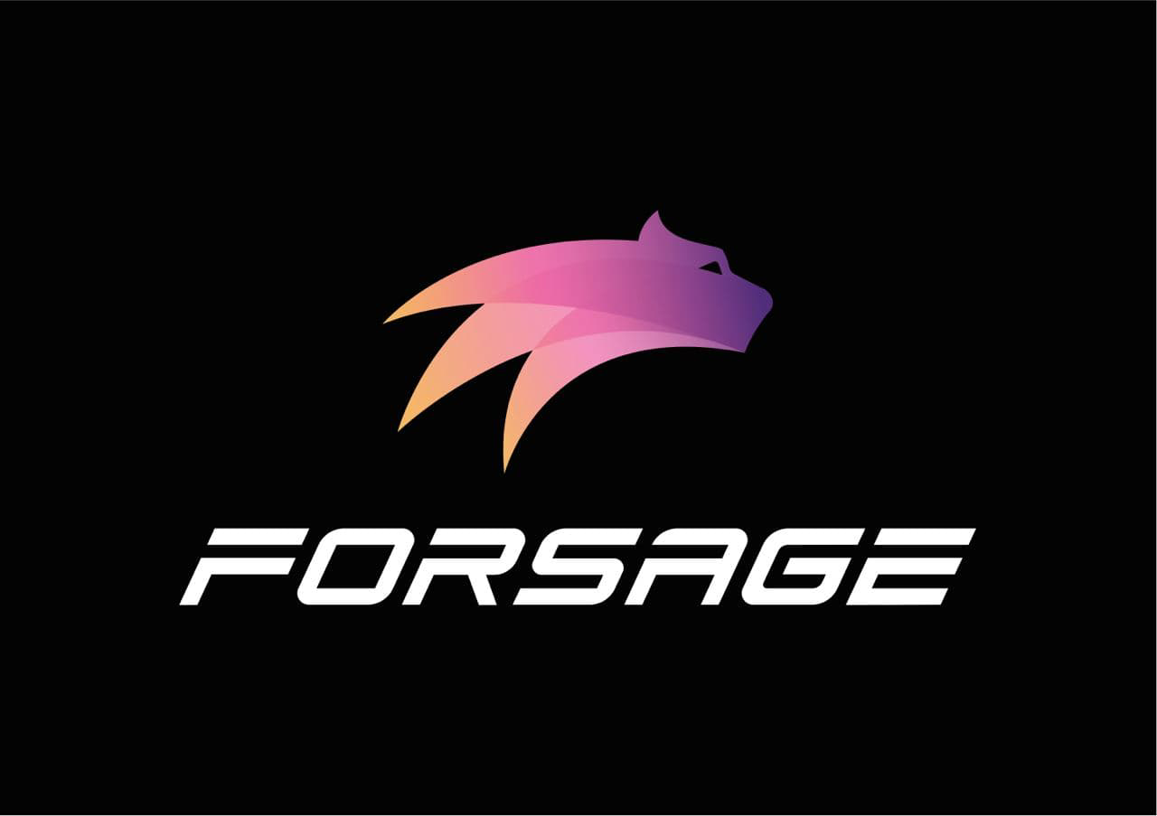SEC بنیانگذاران Forsage را متهم به اجرای طرح پانزی کرد