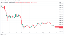 شایعه بازپرداخت 137000 بیت کوین به طلبکاران صرافی Mt. Gox رد شد