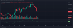 اطلاعات بیشتر ارزدیجیتال فانتوم؟