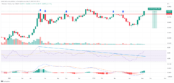 اندیکاتور های RSI و MACD