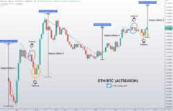 اندیکاتور های RSI و MACD