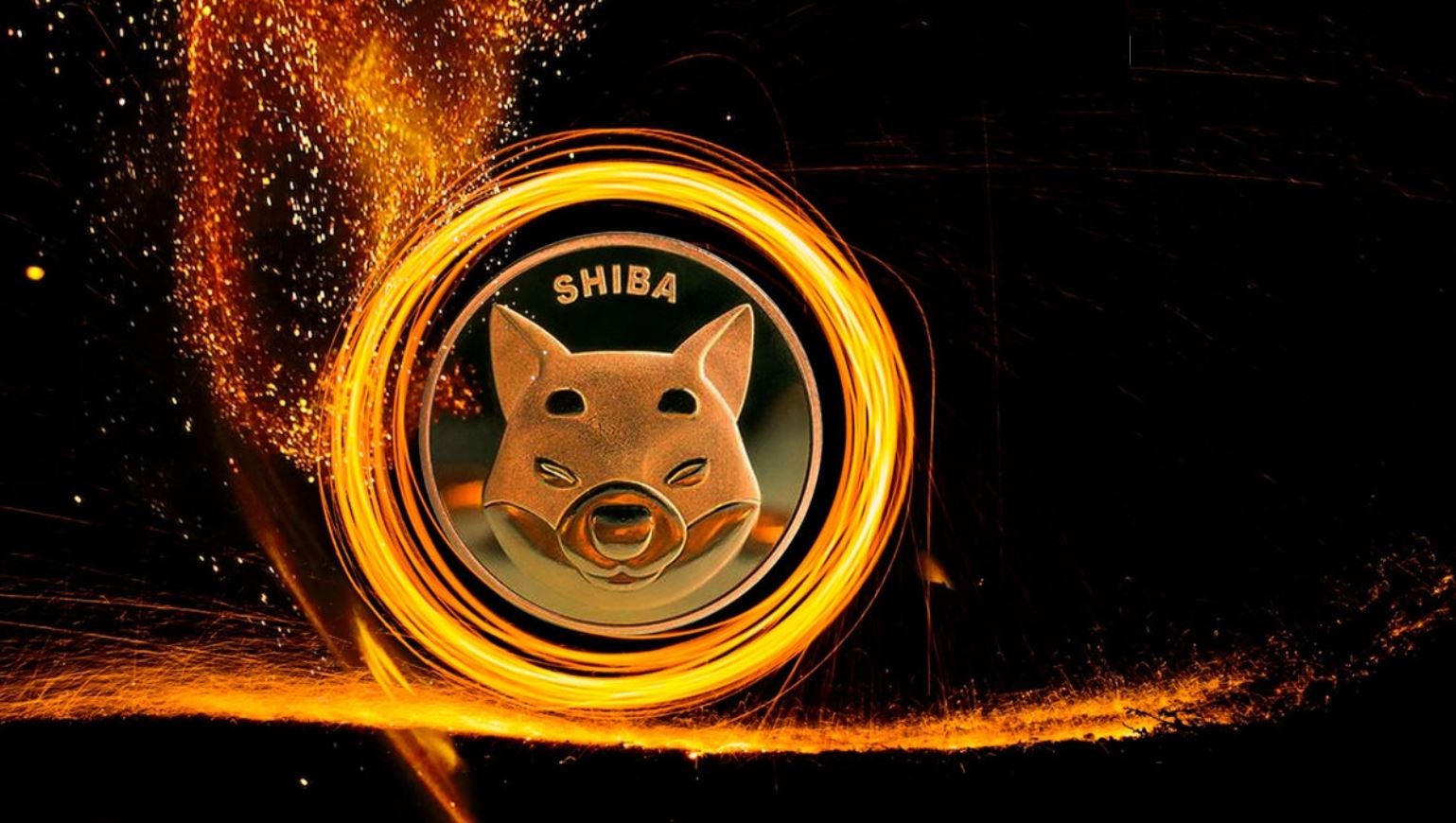 تراویس جانسون از پرتال جدید توکن سوزی SHIB خبر داد