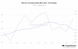 منبع: CryptoQuant