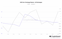 منبع: CryptoQuant