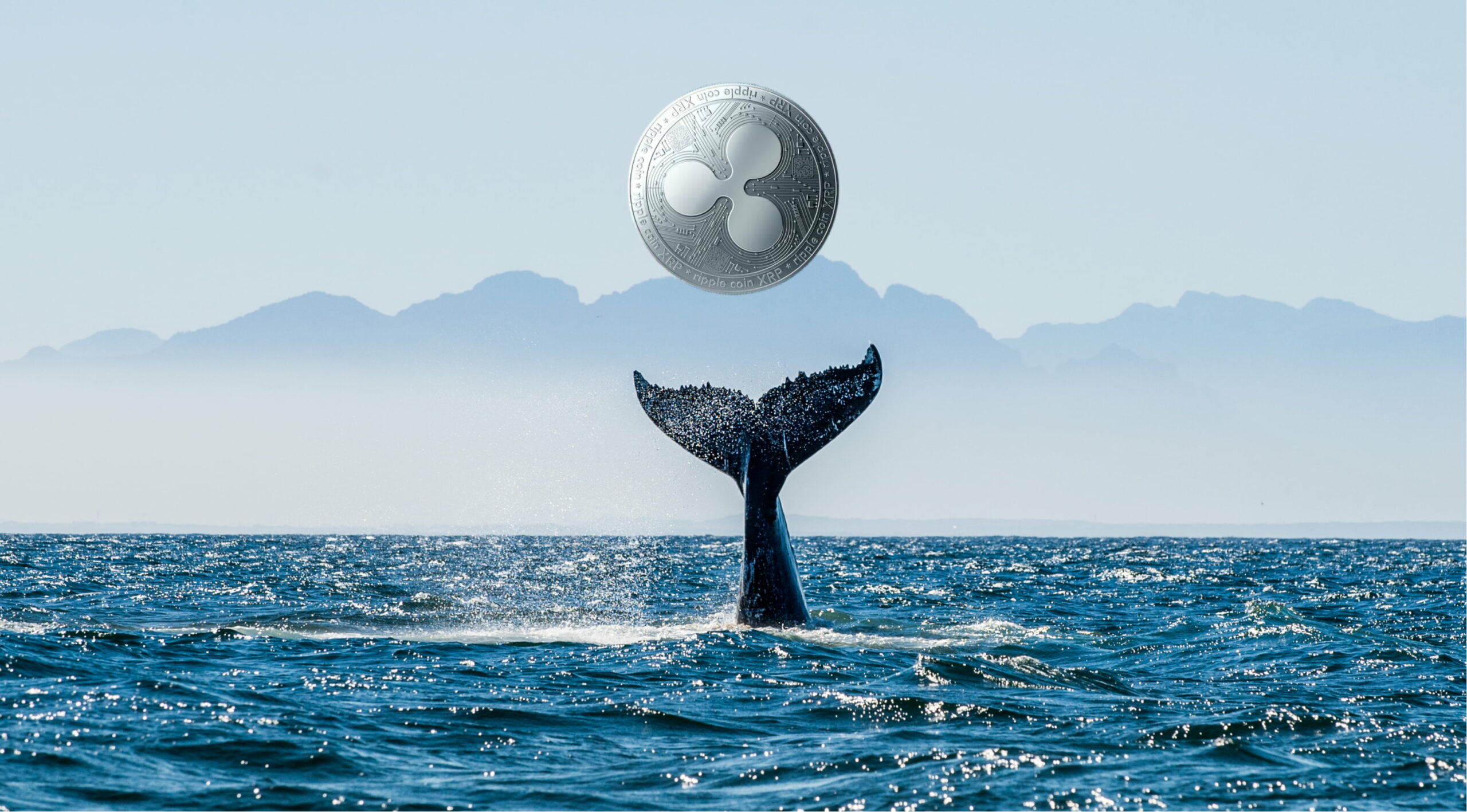 افزایش چشمگیر فعالیت نهنگ های ریپل (XRP)