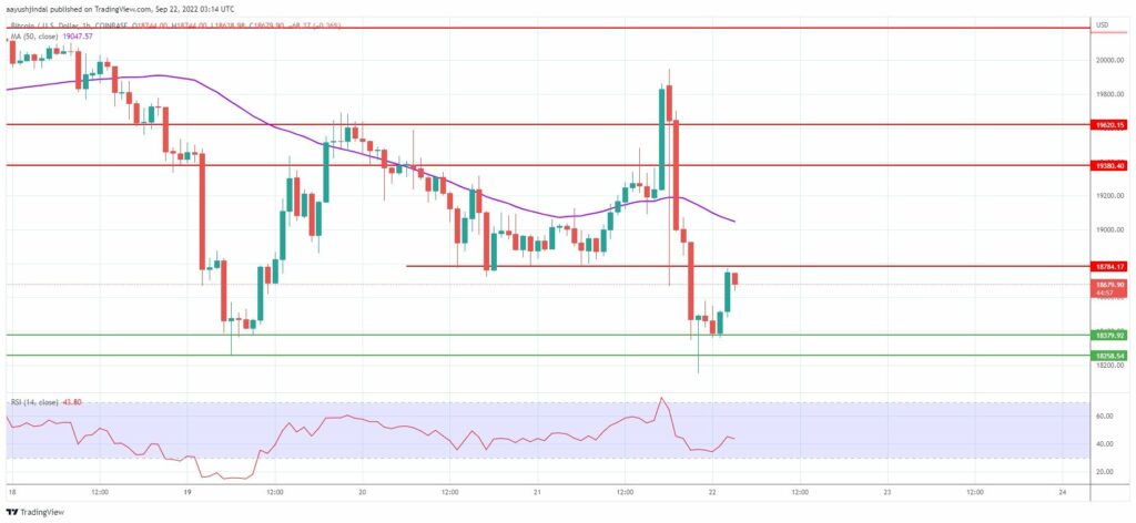 قیمت بیت کوین