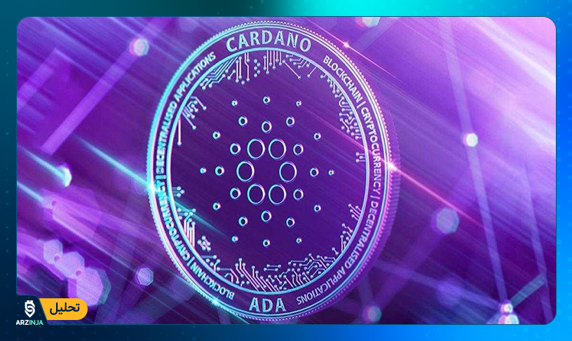 پیش بینی قیمت کاردانو