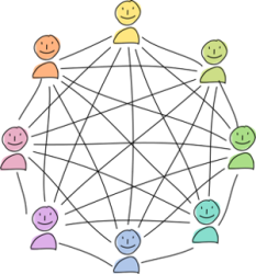 نحوه کار هولوچین