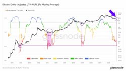 شاخص NUPL بیت کوین