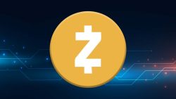 ارز دیجیتال زی کش