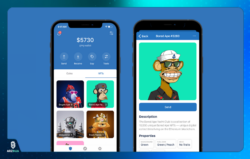 کیف پول برای NFT