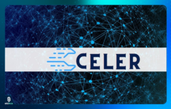 ارز دیجیتال سلر