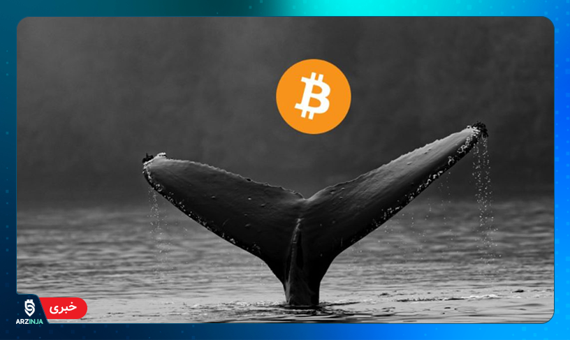 انباشت 3.5 میلیارد بیت کوین توسط نهنگ‌ها