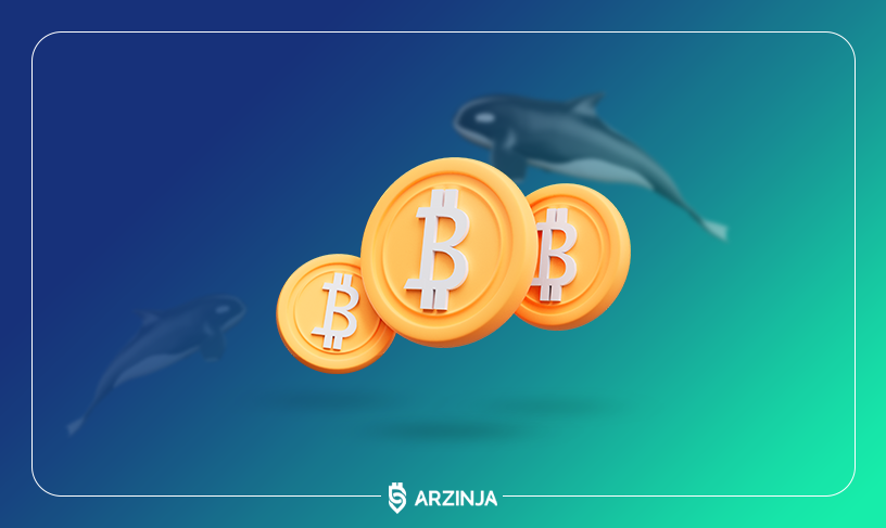 میلیاردر ارز دیجیتال