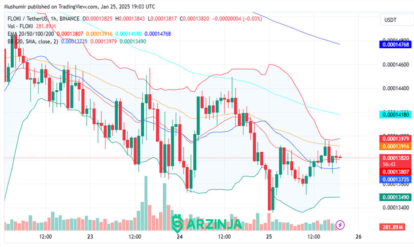 پیش‌بینی قیمت FLOKI