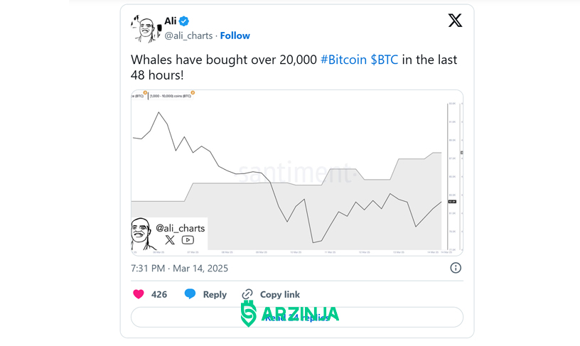 خرید بیت کوین توسط نهنگ ها