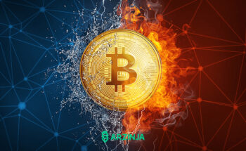 صعود یا نزول بیت کوین