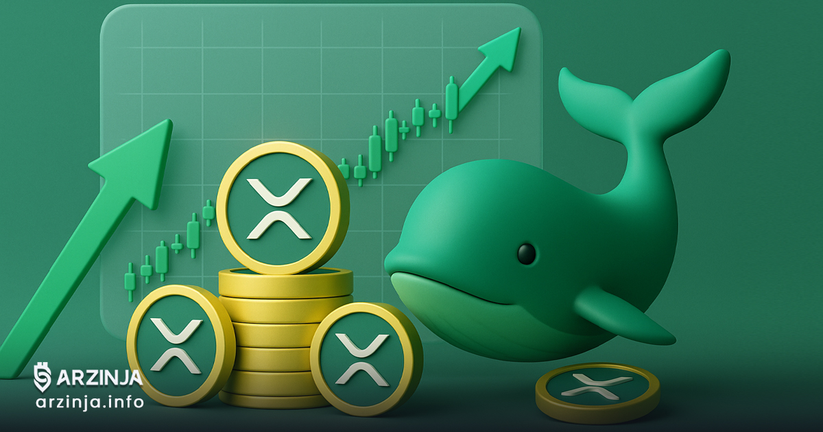 انباشت بی‌سروصدای XRP توسط نهنگ‌ها هم‌زمان با آماده‌باش قیمت برای جهش