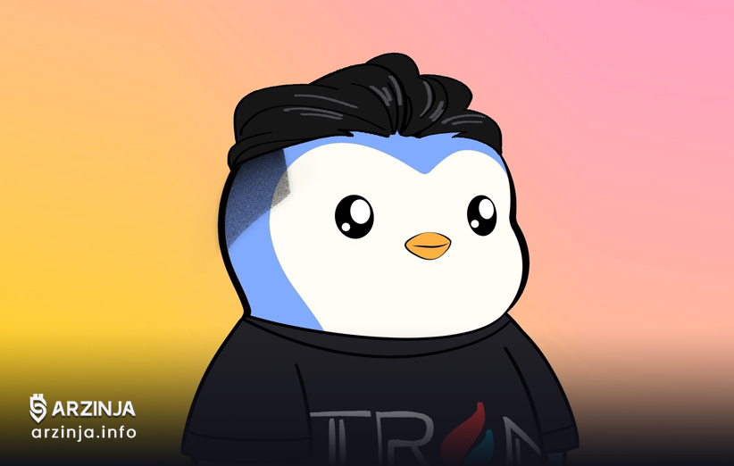 رشد هم‌زمان توکن PENGU و NFTهای Pudgy Penguin