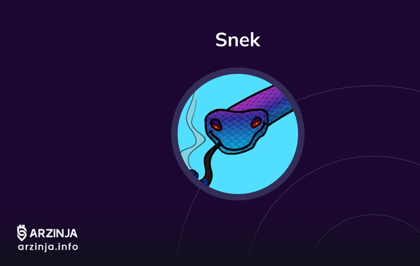 کاربردهای عملی Snek