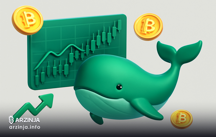 نقش نهنگ ارز دیجیتال در شکل‌گیری روندها