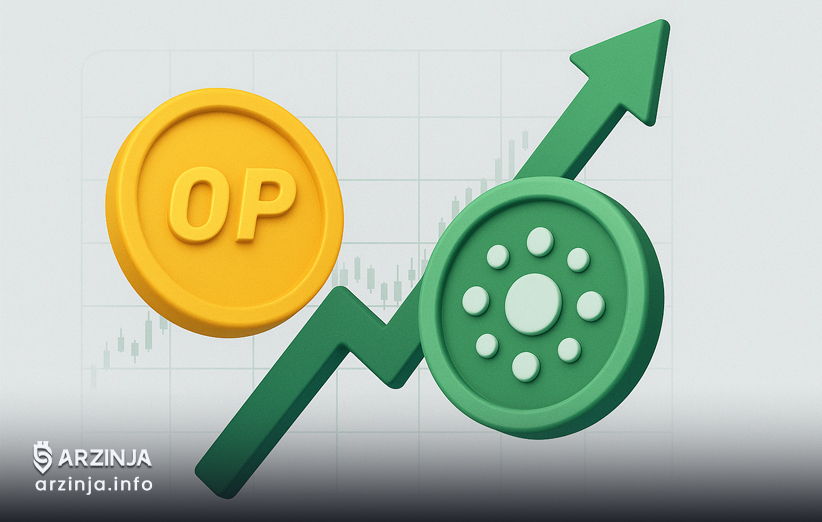 اپتیمیسم و پولکادات؛ فراتر از میم کوین‌ها
