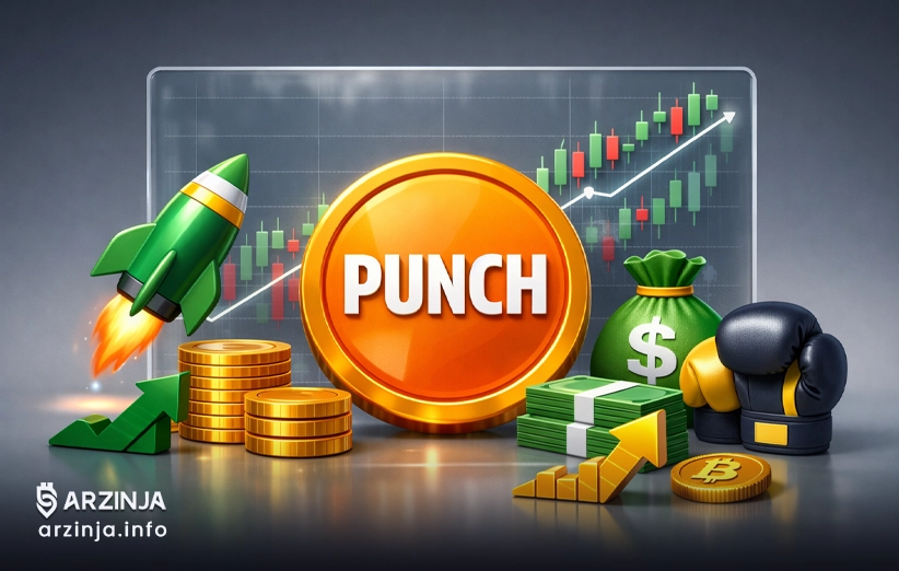 PUNCH: سرمایه‌ گذاری هوشمند یا دام هیجانی؟
