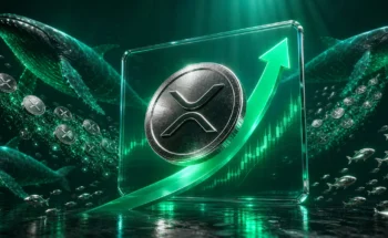 انباشت نهنگ‌های ریپل و تسلیم هولدرهای خرد XRP
