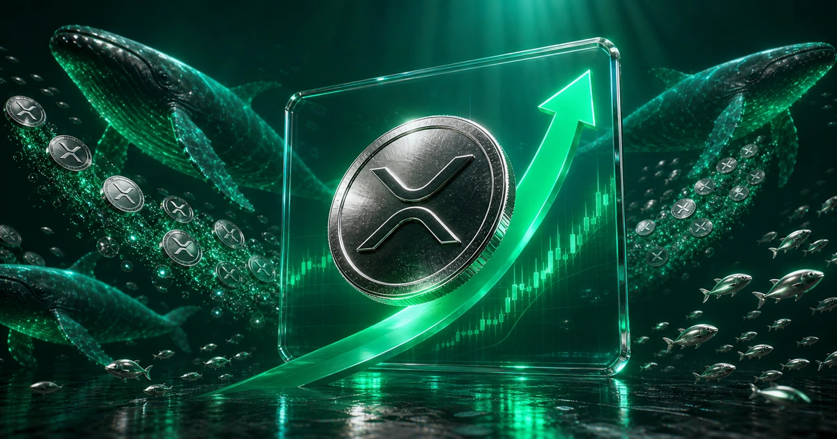 انباشت نهنگ‌های ریپل و تسلیم هولدرهای خرد XRP