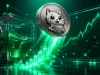 توکن CASHCAT با جهش ۱۲۰ درصدی روی شبکه رابین هود و رشد ارزش کل قفل‌شده به ۷۷۴ میلیون دلار