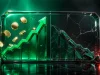 پروژه FNDK؛ فاصلهٔ میان ادعاهای سوددهی و واقعیت طرح پانزی و کلاهبرداری