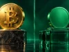 تفاوت کوین و توکن؛ کوین با شبکه مستقل خودش در برابر توکن میهمان شبکه دیگر